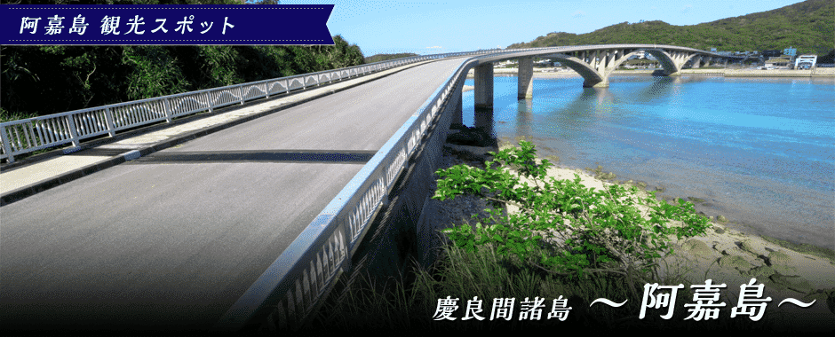 阿嘉島 観光