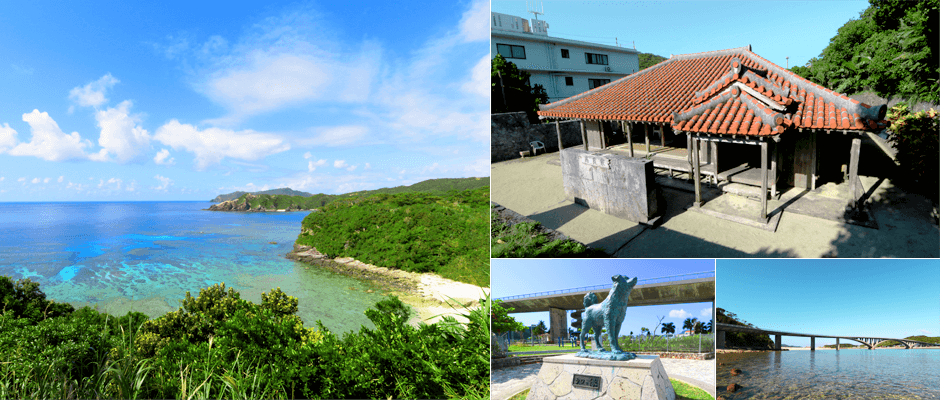 赤島の観光情報