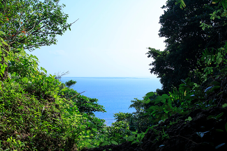 斎場御嶽|久高島