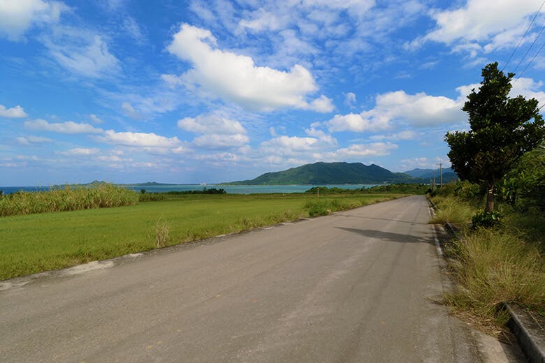 川平湾（かびらわん）｜石崎半島方向へのびる道路