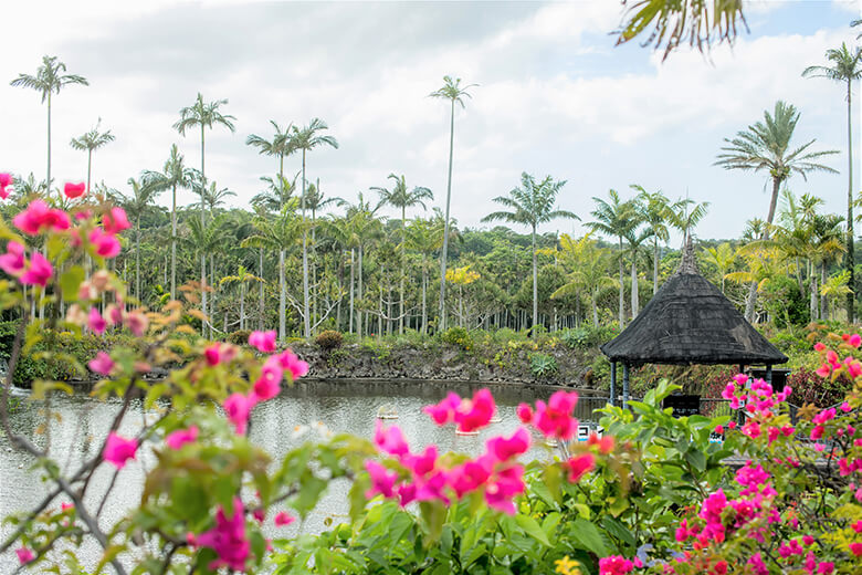 東南植物楽園｜水上楽園エリア