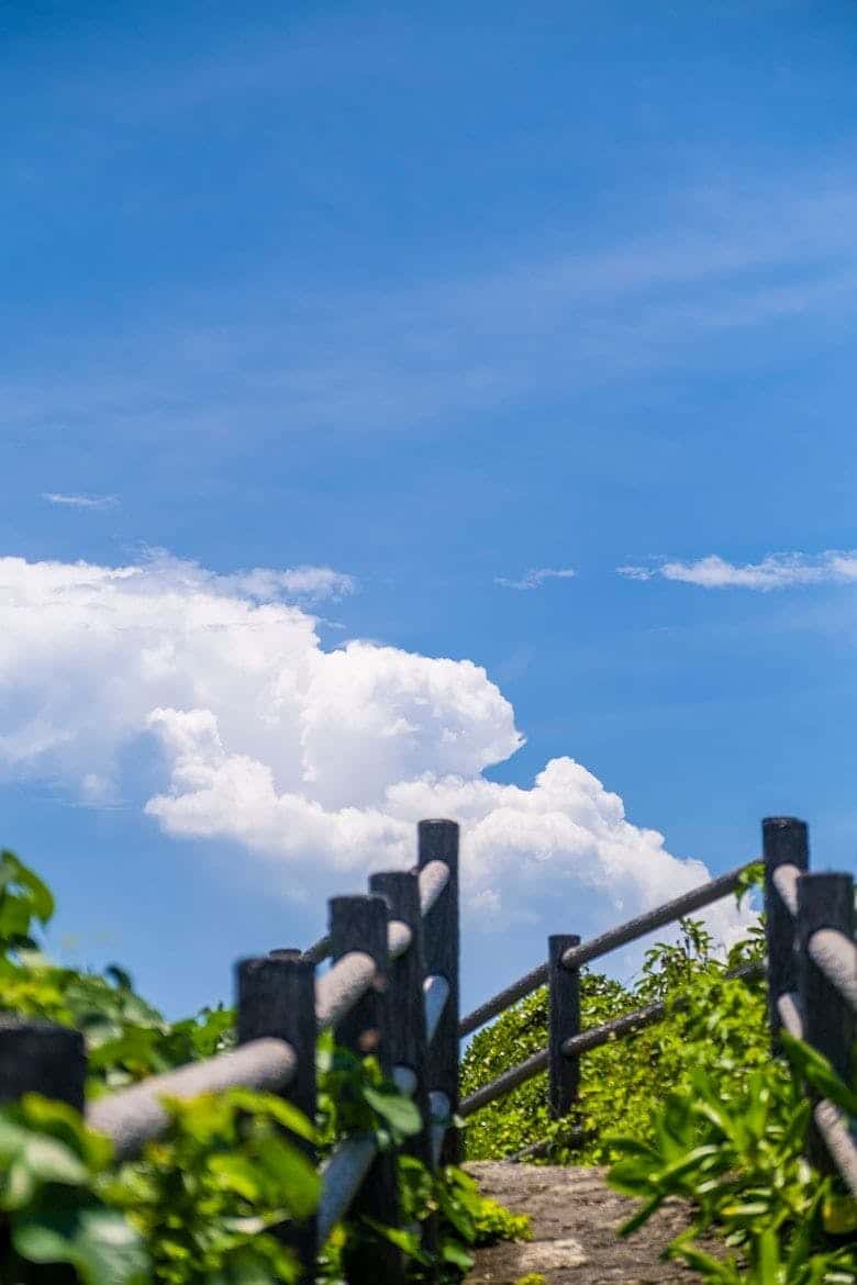 イムギャーマリンガーデン｜入道雲とのコントラストが美しい