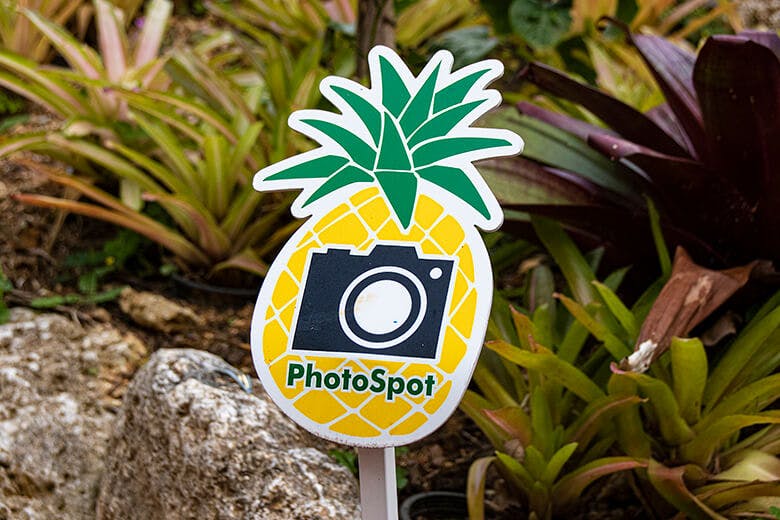 ナゴパイナップルパーク|エリア内にあるPhotoSpotのサイン