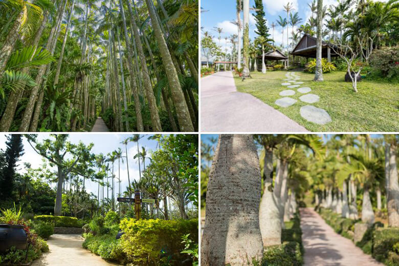 東南植物楽園｜植物園エリアの様子