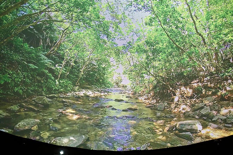 道の駅おおぎみ｜やんばるの森と小川が映し出された360°ドームスクリーンの映像