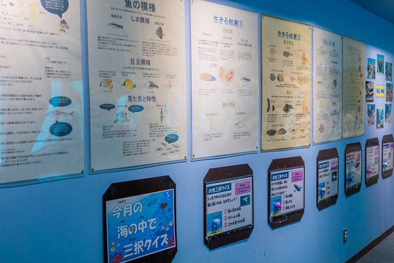 宮古島海中公園|展示されている資料