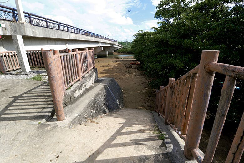 宮良川（みやらがわ）のヒルギ林｜干潟への階段