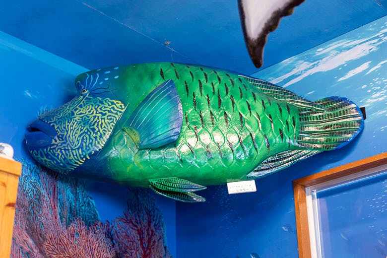 魚屋直営食堂