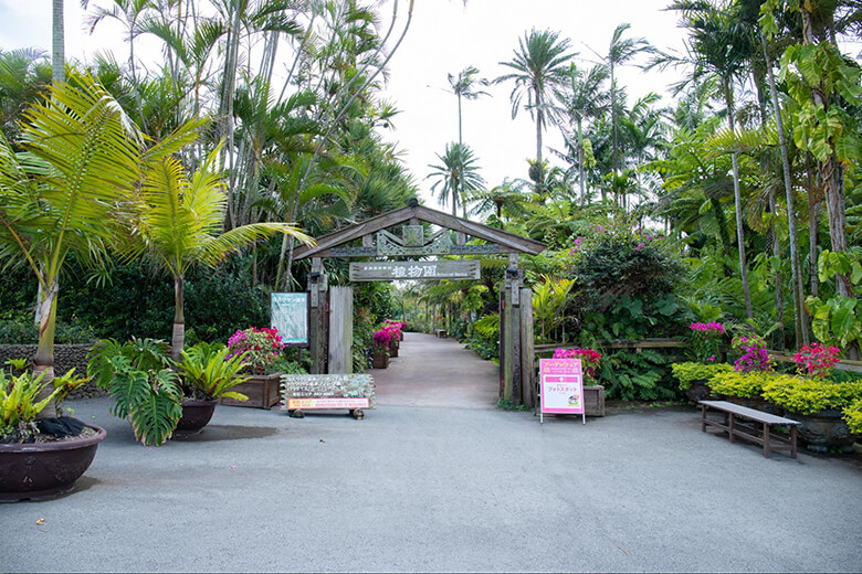 東南植物楽園｜植物園エリア入り口