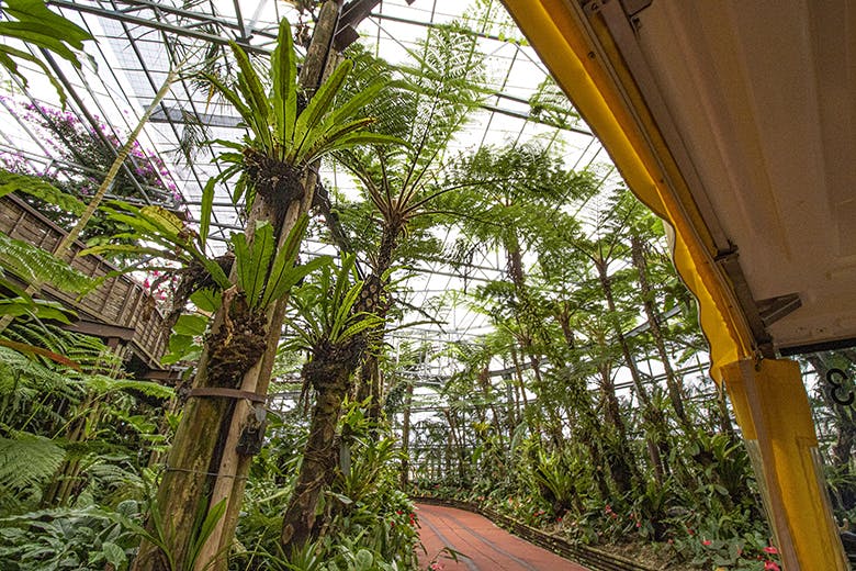 ナゴパイナップルパーク|沖縄の大型植物が植生されたコース
