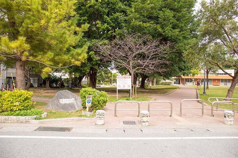 トックリキワタ珈琲店｜緑ヶ丘公園