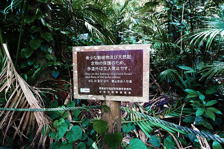 米原(よねはら)のヤエヤマヤシ群落|立ち入り禁止の立て札