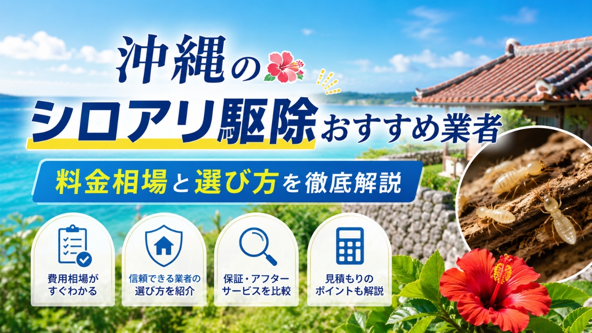 沖縄のシロアリ駆除業者おすすめ15社！料金相場と選び方を徹底解説